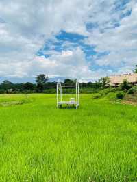 นาตาทา Cafe’ & Farm Stay