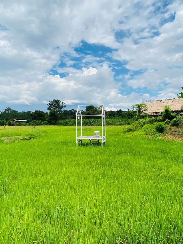 นาตาทา Cafe’ & Farm Stay