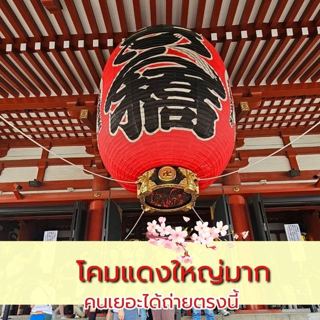 บรรยากาศวัดเซ็นโซจิ โตเกียว ช่วงเทศกาล