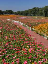 🌸Spring-Only Wonderland! Suzhou Shangfang Mountain National Forest Park Travel Guide