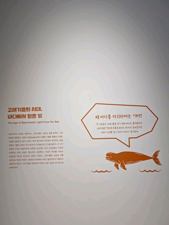 인천 국립 해양박물관 관람