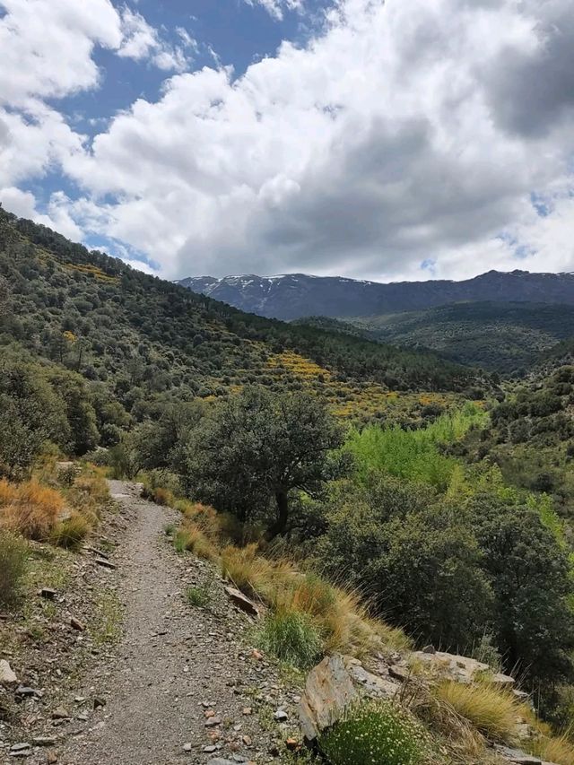 Unexpected Trails and Epic Views in Fiñana