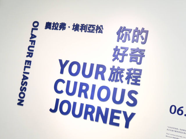 感受光影與自然，踏上你的好奇旅程！✨