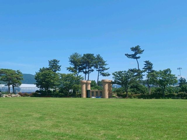 야외까지 관람필수!