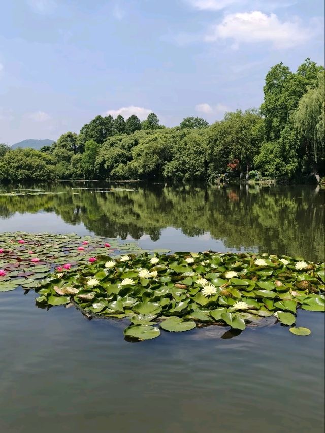 Three Pools Mirroring the Moon– West Lake’s Crown Jewel