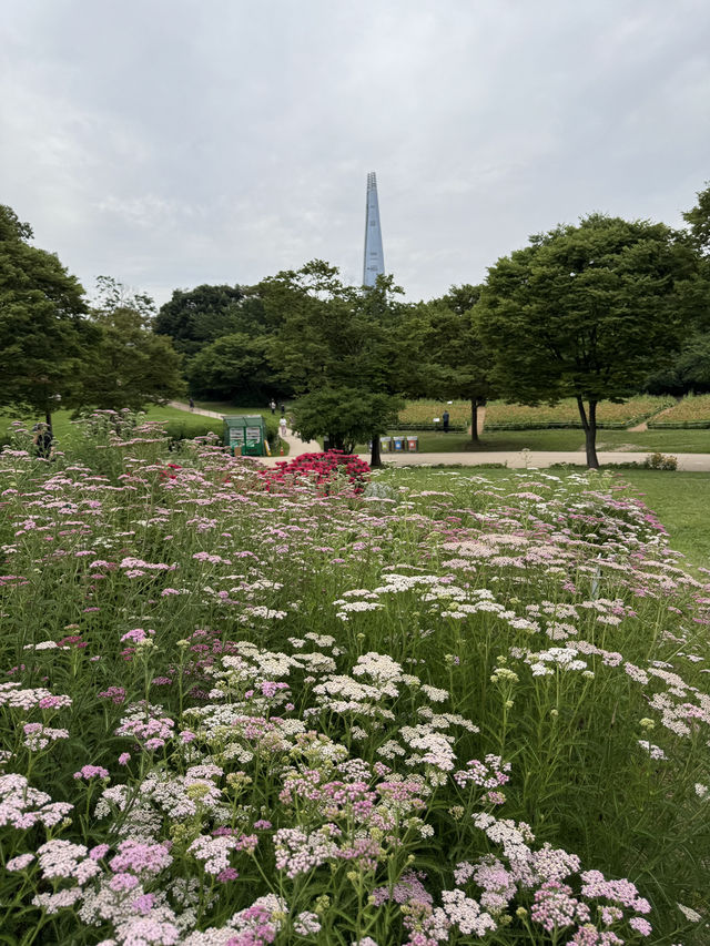 동화 속 정원에 들어온듯 아름다운 서울 명소, 올림픽공원 산책로