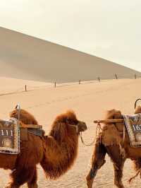 🏜️ Mingsha Mountain – Where the Sand Sings