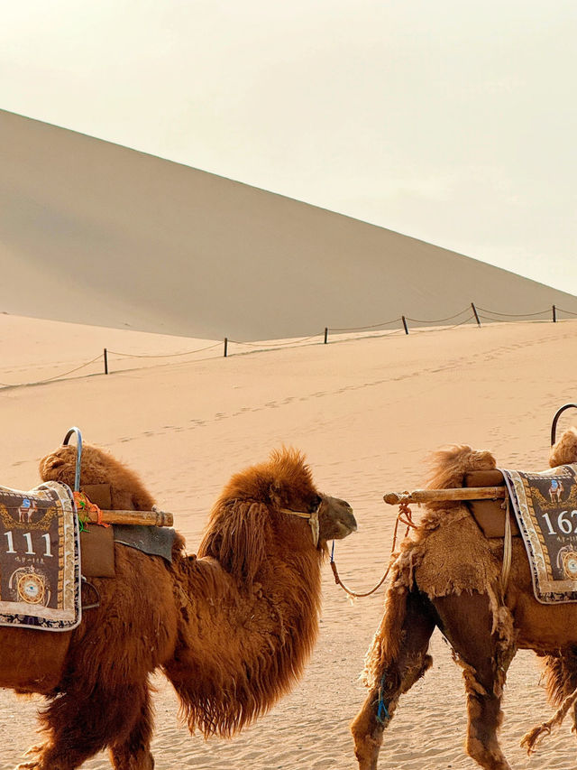 🏜️ Mingsha Mountain – Where the Sand Sings
