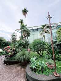 Lush Rooftop Oasis in PJ