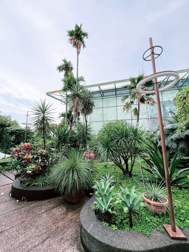 Lush Rooftop Oasis in PJ