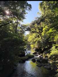 まるで東洋のチロル!由布川渓谷で自然美に包まれる冒険旅🌊