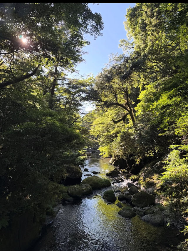 まるで東洋のチロル!由布川渓谷で自然美に包まれる冒険旅🌊 まるで東洋のチロル!由布川渓谷で自然美に包まれる冒険旅🌊