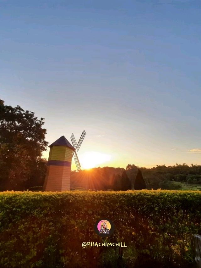 ใกล้ชิดธรรมชาติที่ภูฝอยลม จังหวัดอุดรธานี