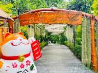 บ้านสวนลางสาดคาเฟ่ จังหวัดตาก