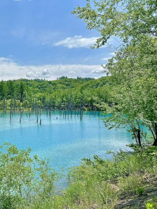Hokkaido One-Day Tour: Biei Tour