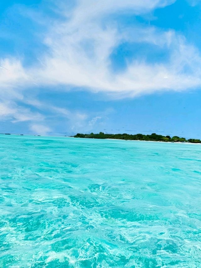 🇲🇾【仙本那4天3夜海岛度假｜跳岛+水屋+海鲜盛宴】🌊🐠🛶