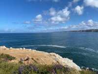 聖地牙哥 La Jolla 拉荷亞海灣 與海獅海豹一起賞日出