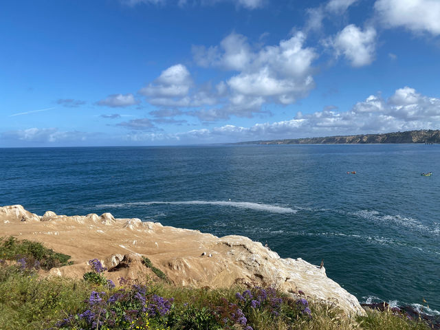 聖地牙哥 La Jolla 拉荷亞海灣 與海獅海豹一起賞日出