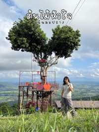 บ้านสวนชมวิว ต้นไม้หัวใจ (Heart tree house)
