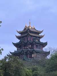 Realm Of Steel Buddhas: Cyber Incense When Light Rail Pierces The Shrine