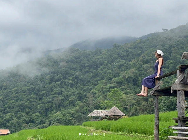 ดาวบ้านดอย โฮมสเตย์ป่าบงเปียง 💚🌾