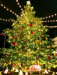 ✨横浜駅周辺で楽しむ!2025-2026 クリスマスめぐり🎄✨