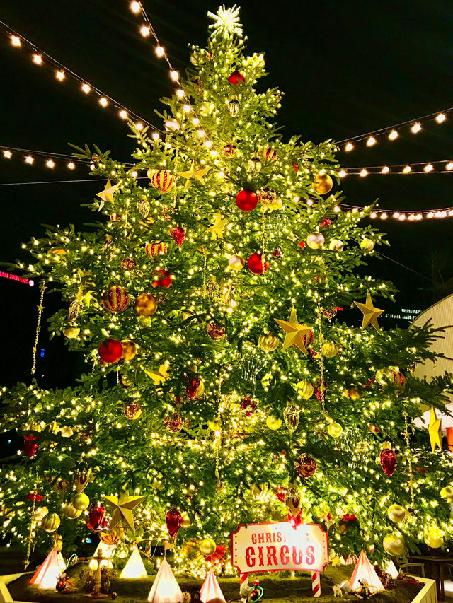 ✨横浜駅周辺で楽しむ!2025-2026 クリスマスめぐり🎄✨ ✨横浜駅周辺で楽しむ!2025-2026 クリスマスめぐり🎄✨