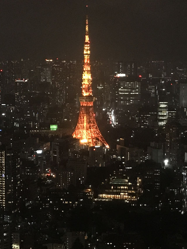 森美術館最新情報とアーカイブ:塩田千春展「魂がふるえる」(2019年) 森美術館最新情報とアーカイブ:塩田千春展「魂がふるえる」(2019年)