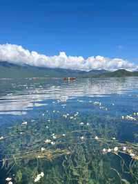 Whispers of the Lake: A Love Story in Lugu