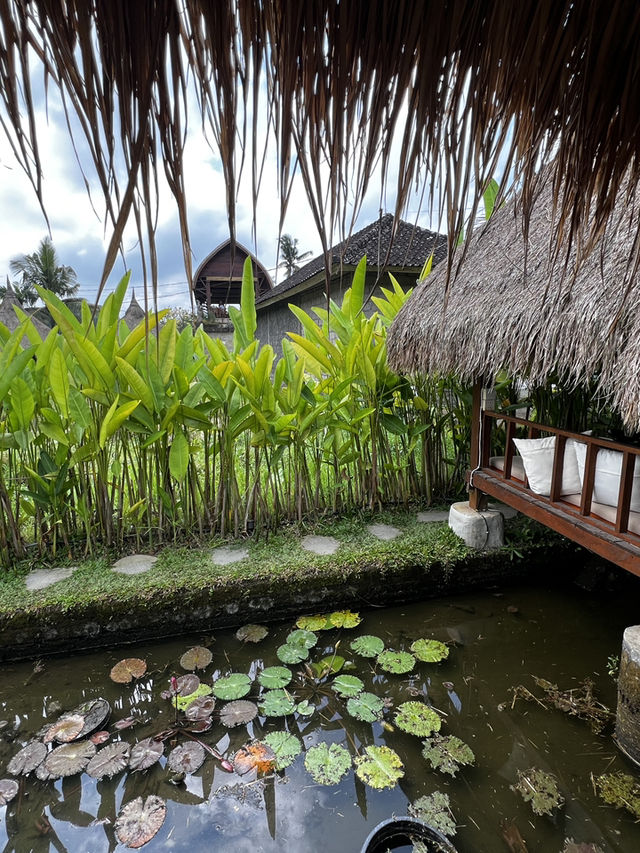ウブドでセルフリトリートする理由5つ🇮🇩✈️🌎 ウブドでセルフリトリートする理由5つ🇮🇩✈️🌎