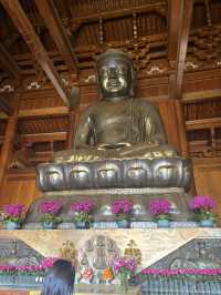 สายมูห้ามพลาด! วัดทองจิ้งอัน