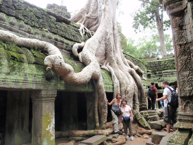 Ta Prohm, Cambodia: Where Roots Embrace Ruins