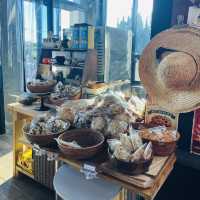 🇰🇷济州落地玻璃窗前嘆brunch必去地