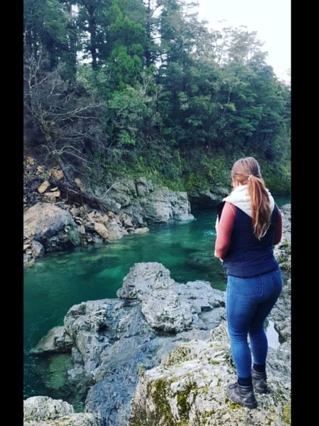 Pelorus Bridge NZ