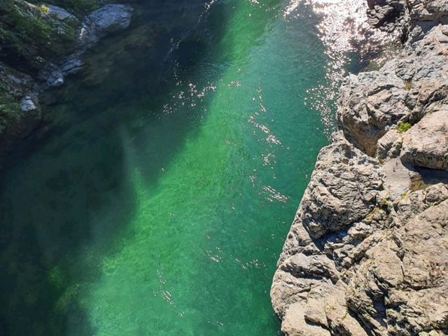 Pelorus Bridge NZ