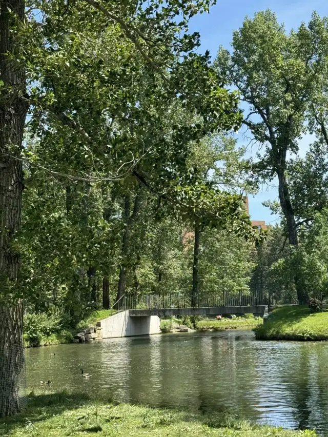 Bowness Park – 캘거리에서 가족과 함께 즐길 수 있는 호숫가 휴양지