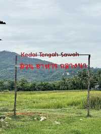 ร้านอาหารใจกลางทุ่งนา🌾