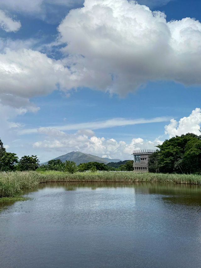 香港|濕地公園|香港紅葉名所|濕地秋色的生態天堂  香港|濕地公園|香港紅葉名所|濕地秋色的生態天堂