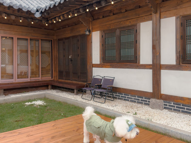 반려견 동반 가능한 10만원대 양평 독채 한옥 숙소🤎🐶 반려견 동반 가능한 10만원대 양평 독채 한옥 숙소🤎🐶