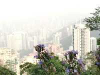 🍃 Peak Trail ที่อยู่บน Victoria Peak (The Peak)