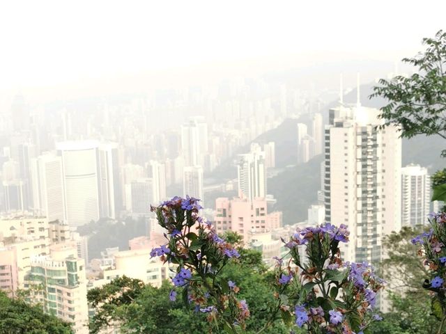 🍃 Peak Trail ที่อยู่บน Victoria Peak (The Peak)