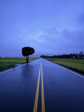 🚴‍♀️台東池上伯朗大道｜最佳時間：雨後的靜謐之美 🌾🌈
