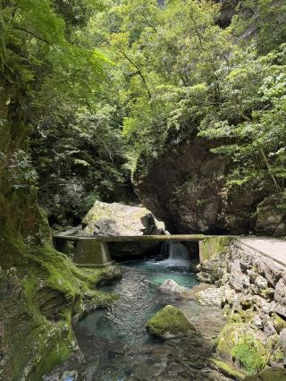 【Kochi】The Healing Stream Spot: Nakatsu Gorge Prefectural Natural Park