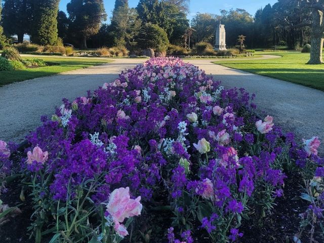 Quiet morning walk along Lake Rotorua boardwalk and Government Gardens