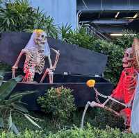 就來到萬聖節🎃仲唔快啲去海洋公園打卡