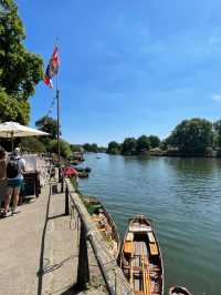 Nature Meets City🌳