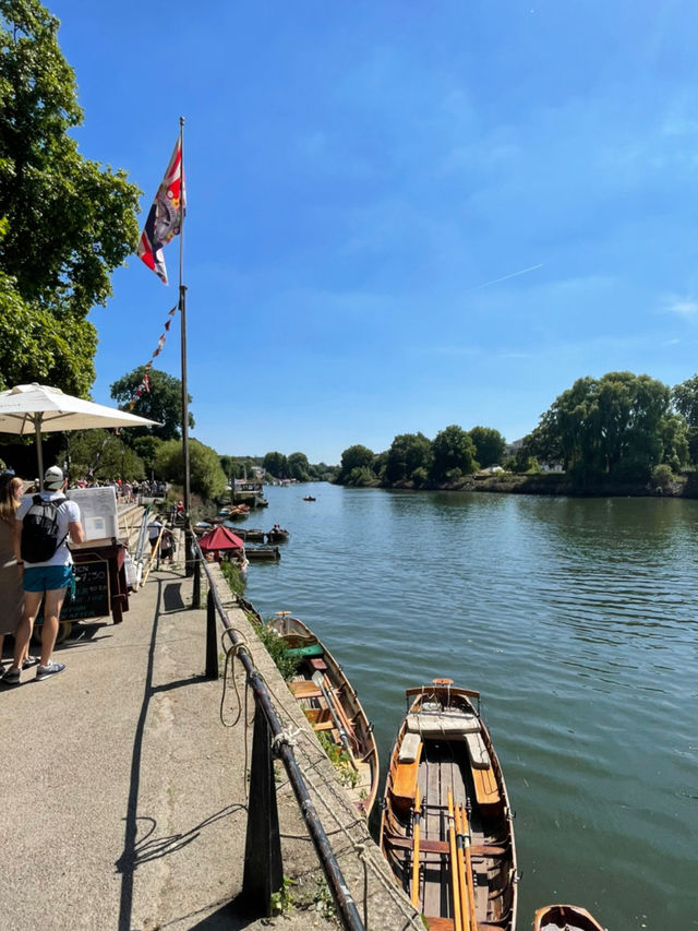 Nature Meets City🌳