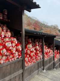 大阪近郊紅葉靚景（期間限定）