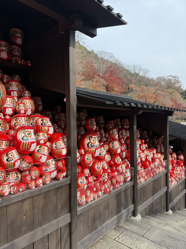 大阪近郊紅葉靚景（期間限定）