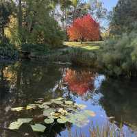 Ayrlies Garden and Wetlands
